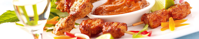 Chicken Satay Foodervice Supplier